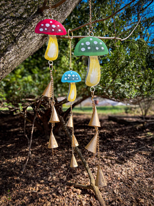 Funky Mushroom