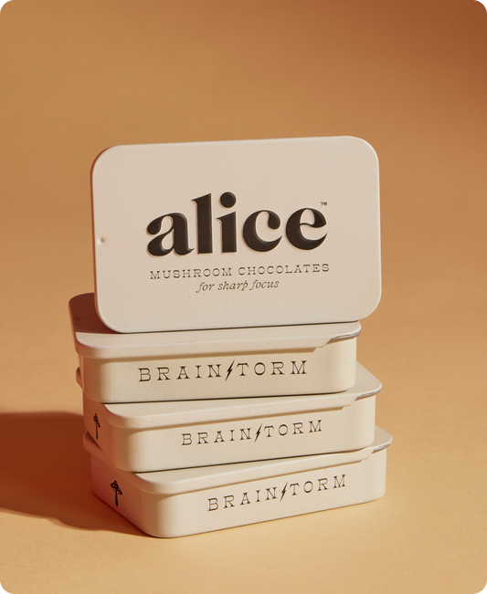 Brainstorm — mushroom chocolate supplement for focus