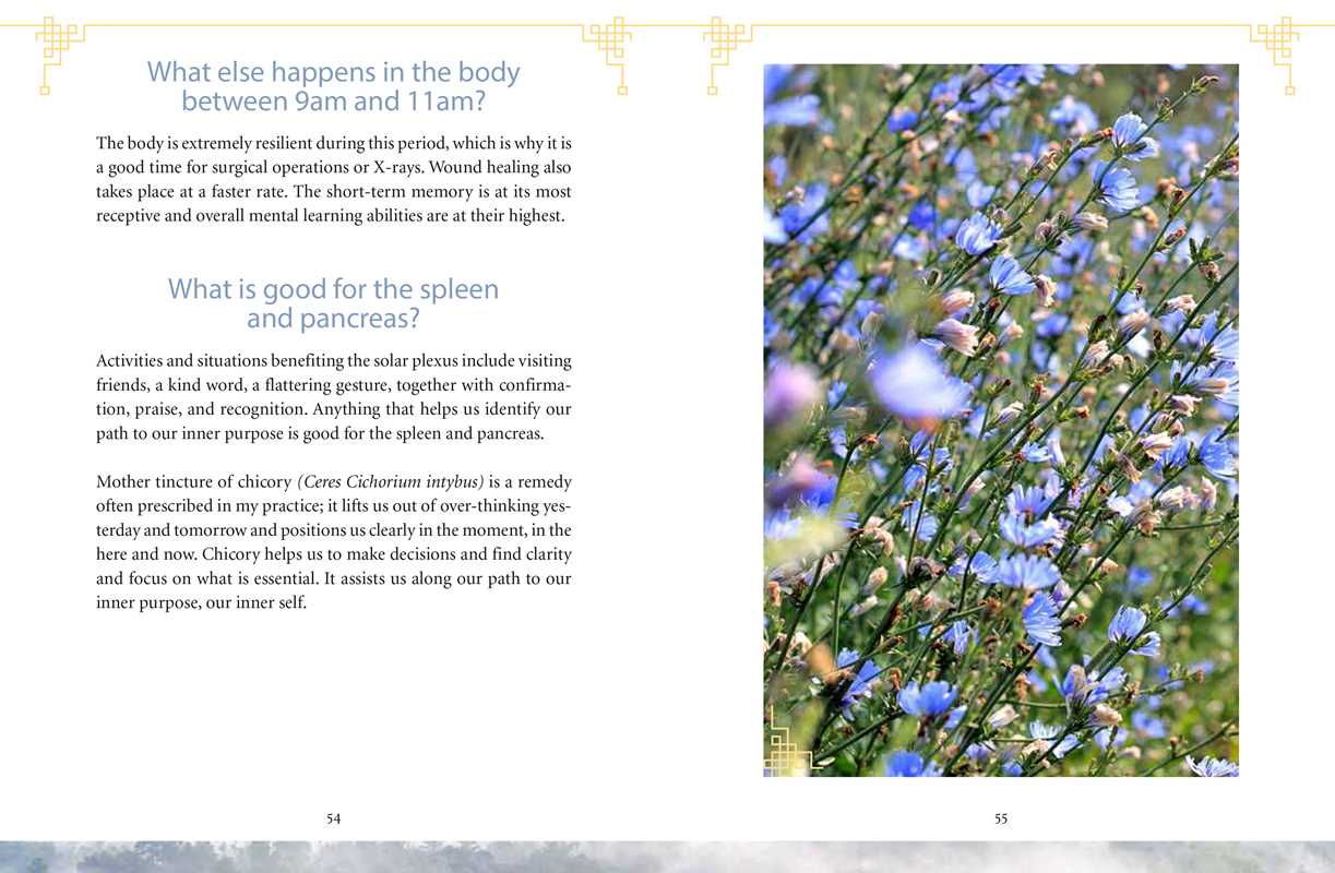 Body Clock in Traditional Chinese Medicine by Lothar Ursinus: Paperback; 128 pages / English