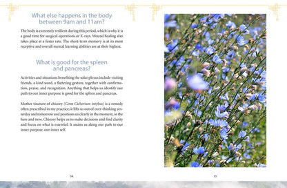 Body Clock in Traditional Chinese Medicine by Lothar Ursinus: Paperback; 128 pages / English
