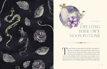 Moon Apothecary by Lorriane Anderson: Hardcover