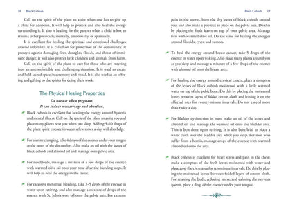 Divine Nature of Plants by Laura Aversano: Paperback; 288 pages / English