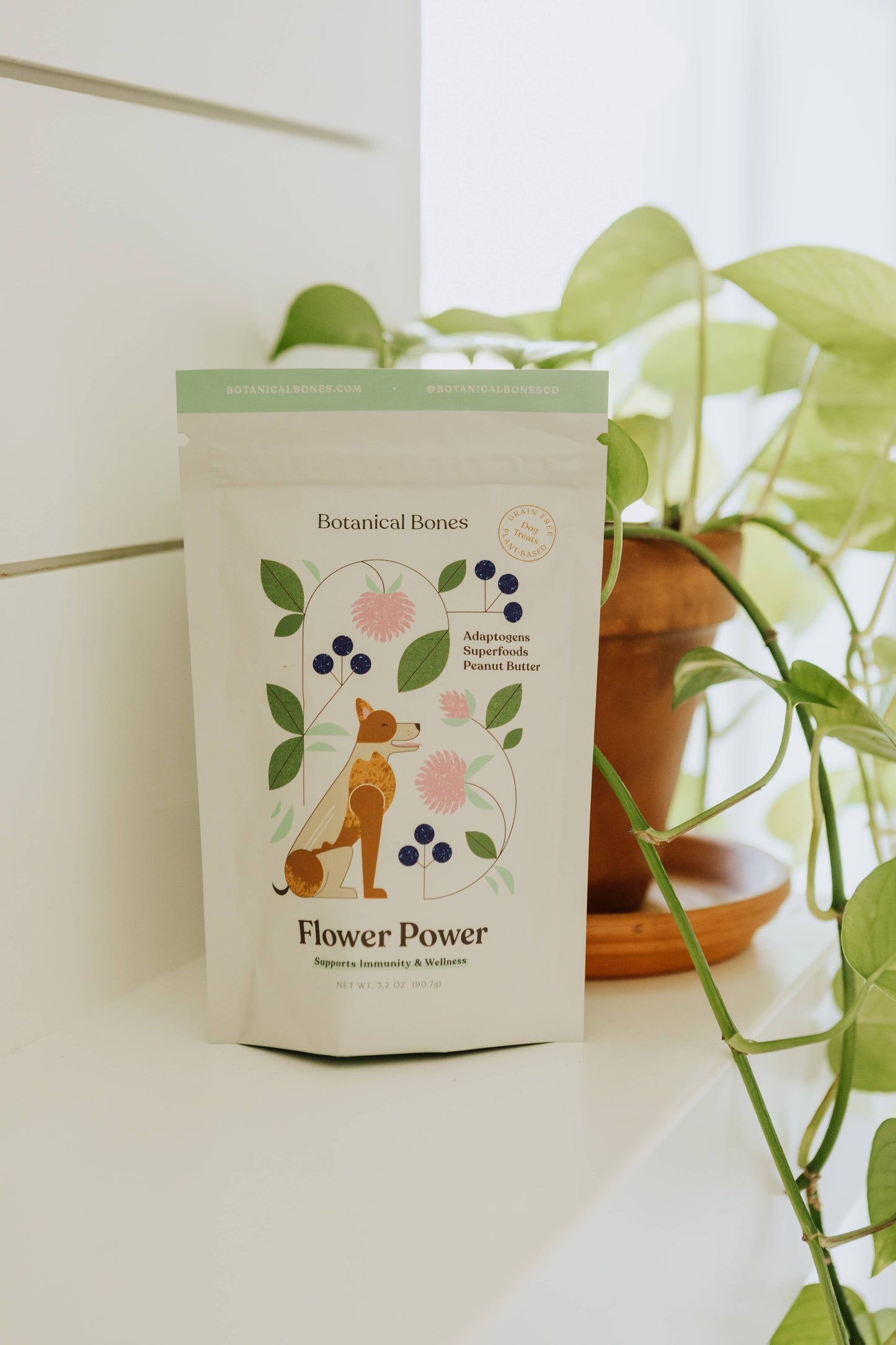 Flower Power - Superfood Dog Treats