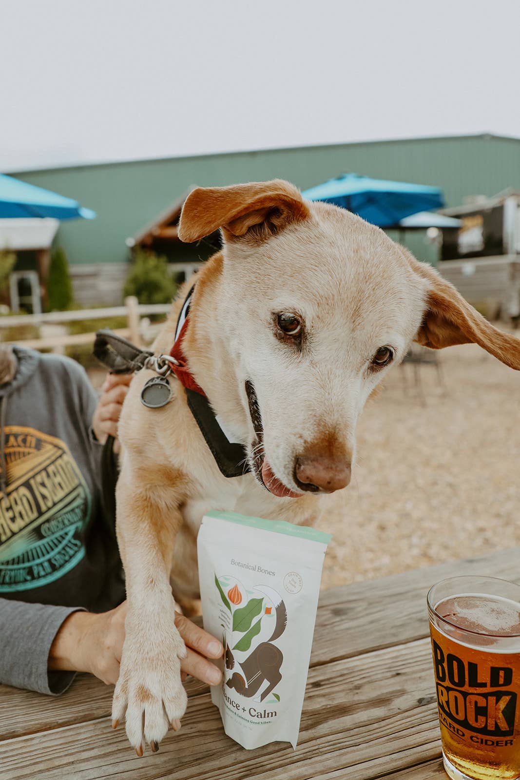 Balance + Calm - Superfood Dog Treats