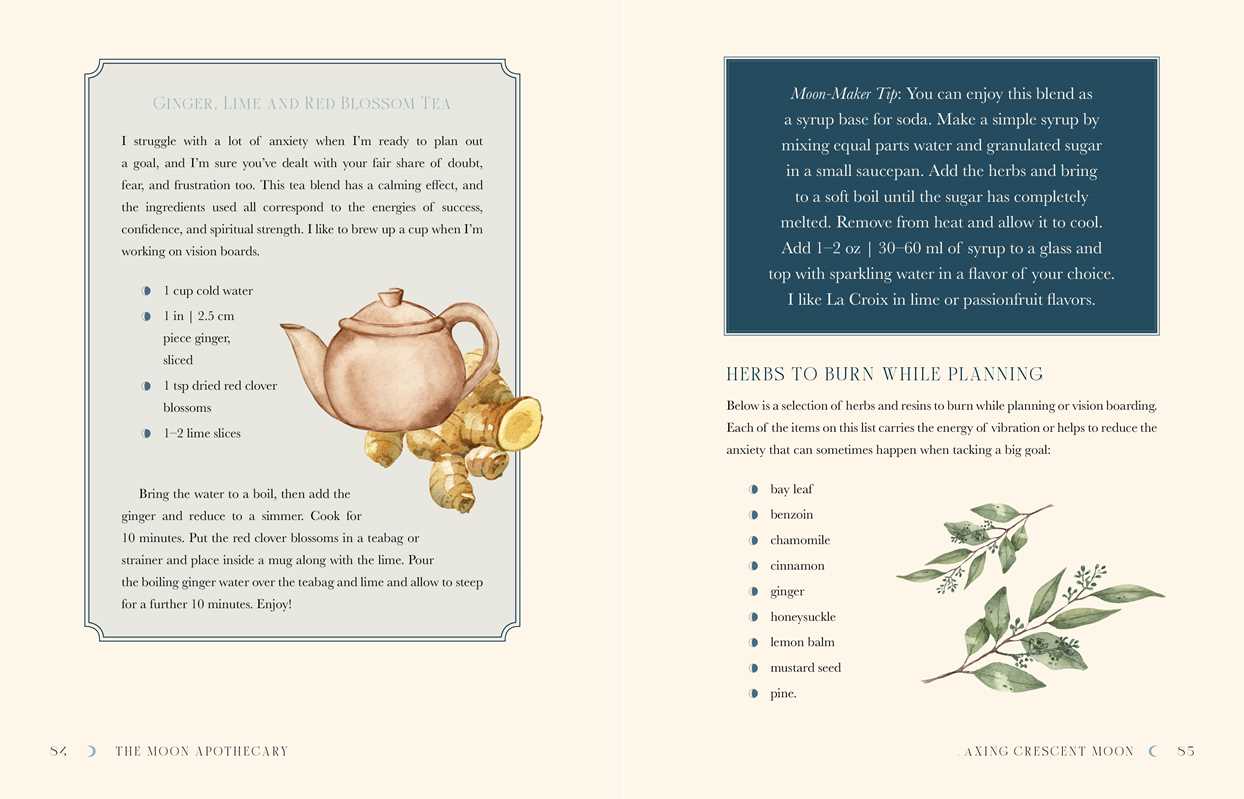 Moon Apothecary by Lorriane Anderson: Hardcover