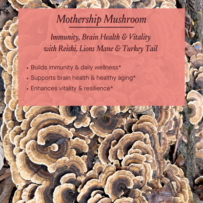 Urban Moonshine Mothership Mushroom