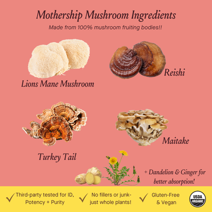 Urban Moonshine Mothership Mushroom