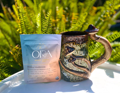 Mystical Mushroom Enhanced Organic Cacao - Ceremonial