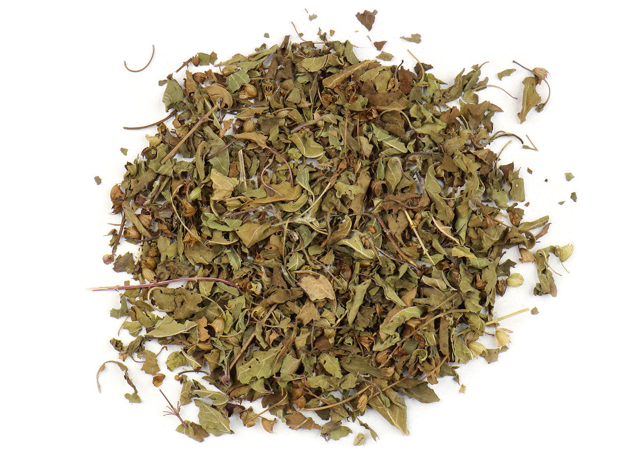 Holy Basil, Krishna | Organic Bulk Herb