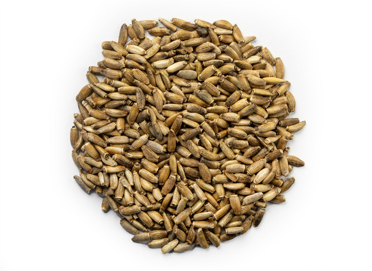 Milk Thistle Seed | Organic Bulk Herb