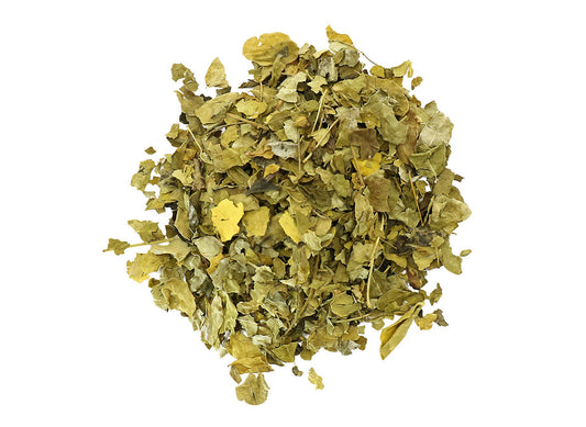 Moringa Leaf | Organic Bulk Herb