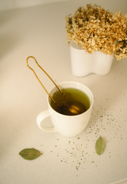 Stainless Steel Tea Strainer & Grabber