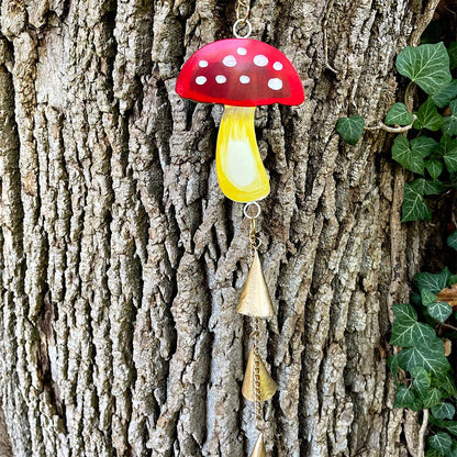 Funky Mushroom