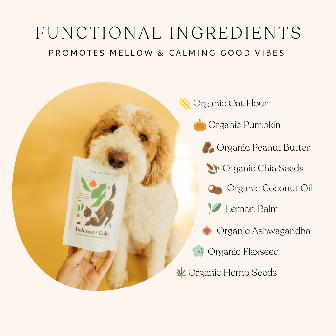 Balance + Calm - Superfood Dog Treats