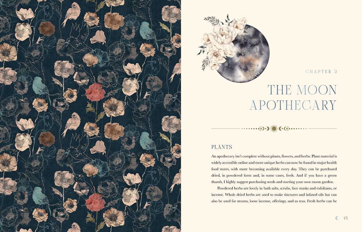 Moon Apothecary by Lorriane Anderson: Hardcover