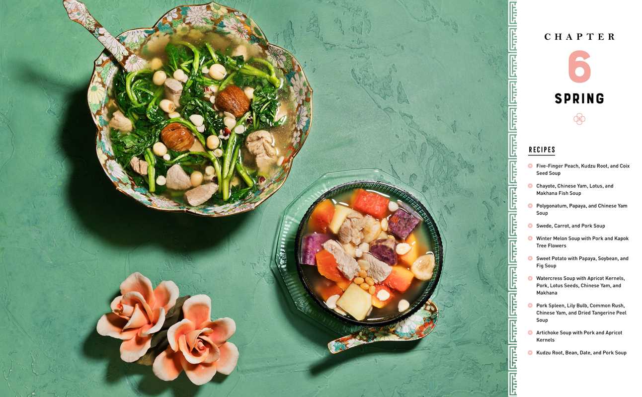 Healing Herbal Soups by Rose Cheung: Paperback; 224 pages / English
