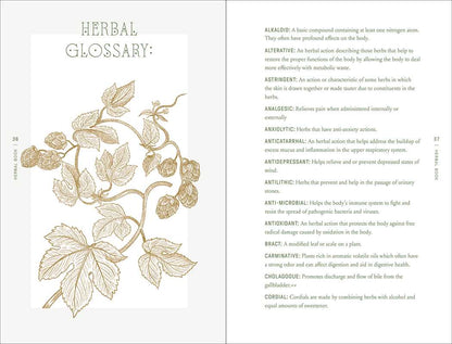 Complete Folk Herbal by Rebecca Beyer: Hardcover; 384 pages / English