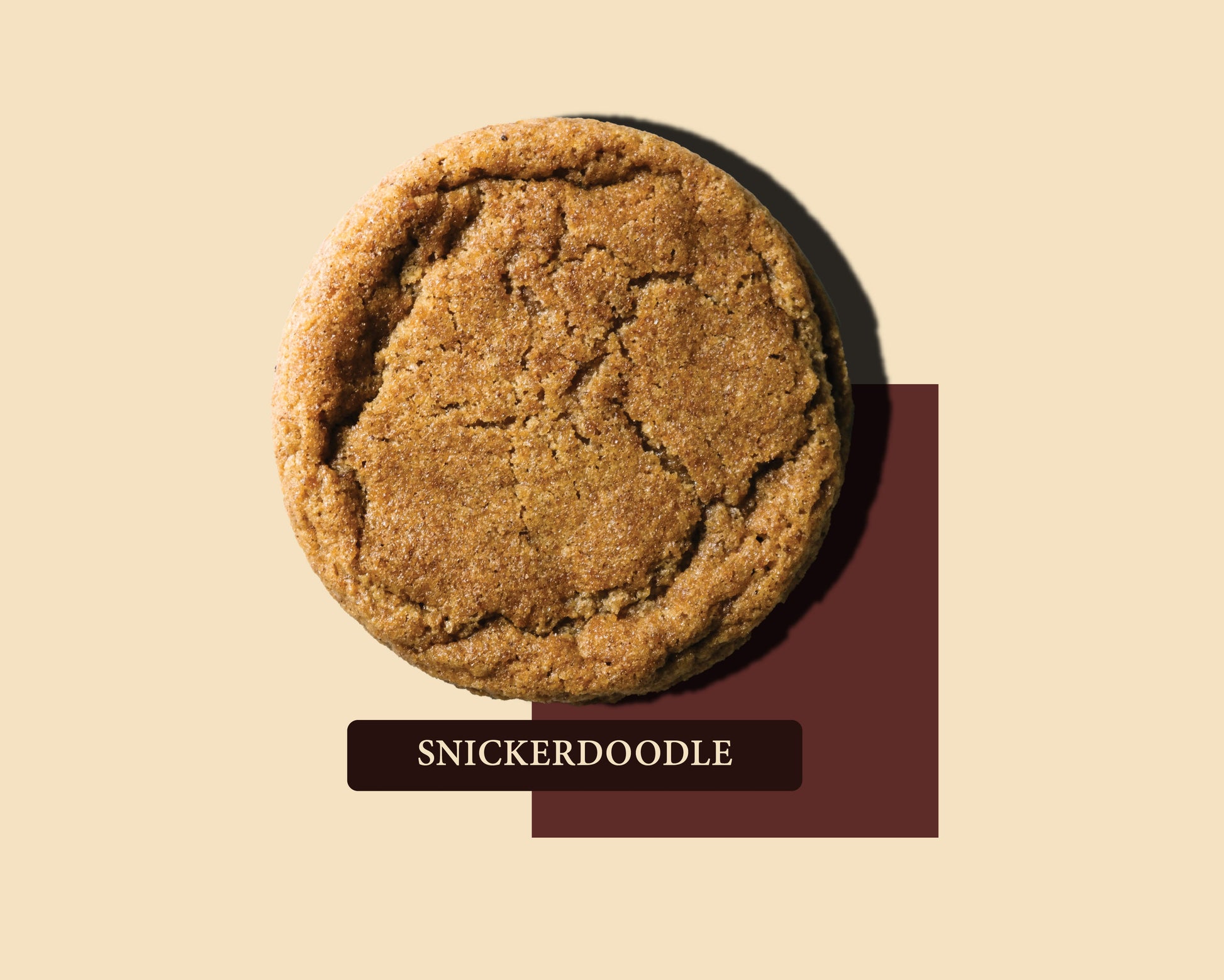 Snickerdoodle Clean Cookie
