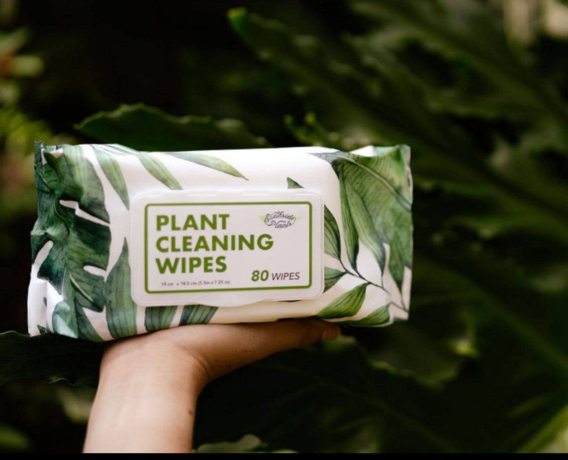 Houseplant Cleaning and Dusting Wipes